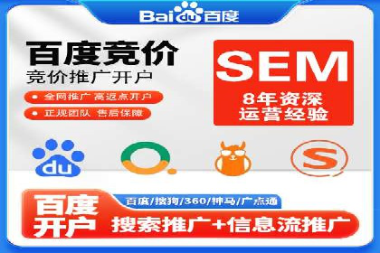 SEM广告创意与执行：成功案例分享